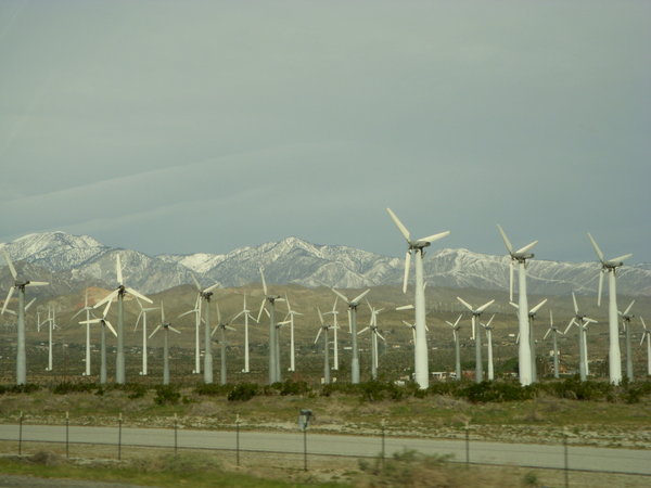 windmill farm 