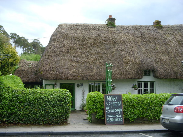 thatched roofing