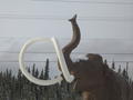 All hail the mighty (extinct) mammoth 