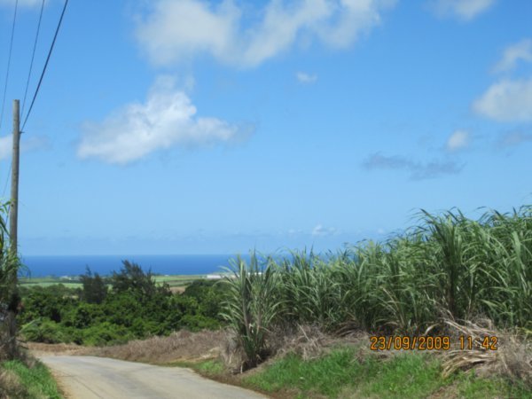 Barbados2 022