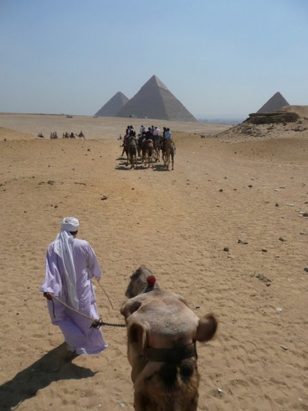 The Camel Ride