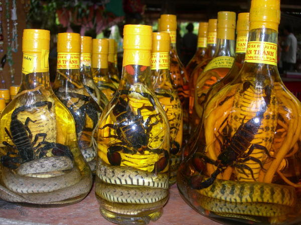 I'm not sure if it was the liquor they were selling, or the snakes & scorpians inside...