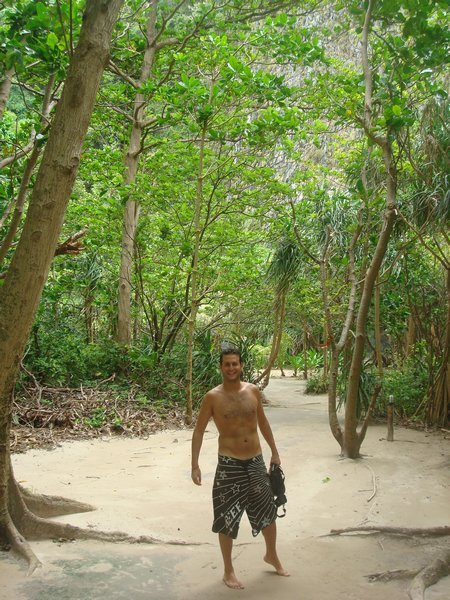 De camino por la jungla