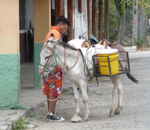 Making a Delivery, Vilcabamba Style