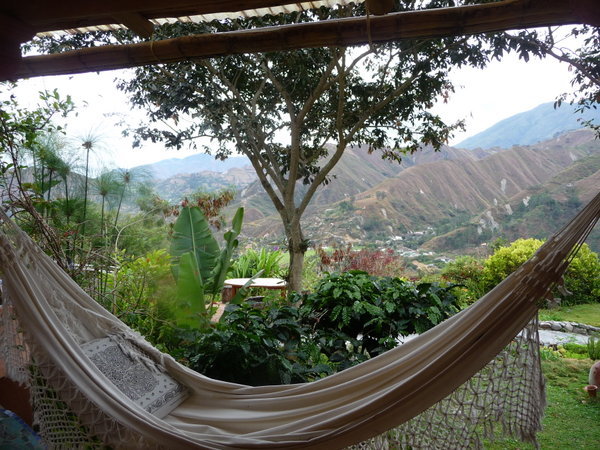 Hammock With A View