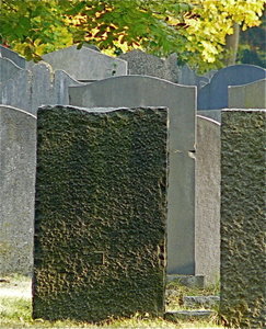 Jewish graveyard in Enschede