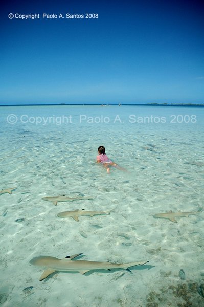 10 year old girl surrounded by black tip sharks