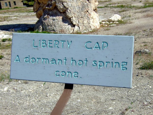 Liberty Cap