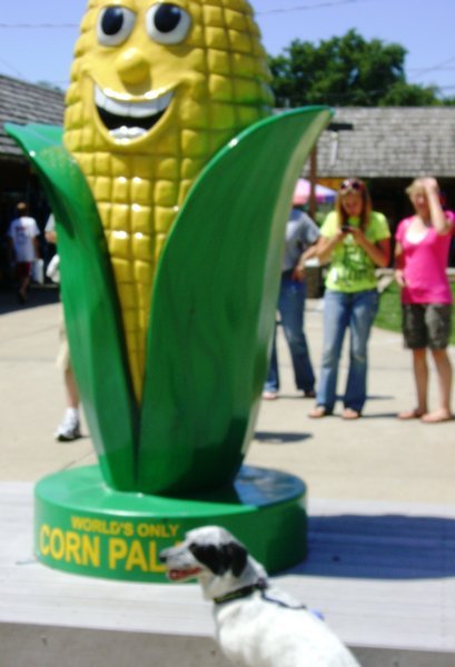 Hi, I'm corn