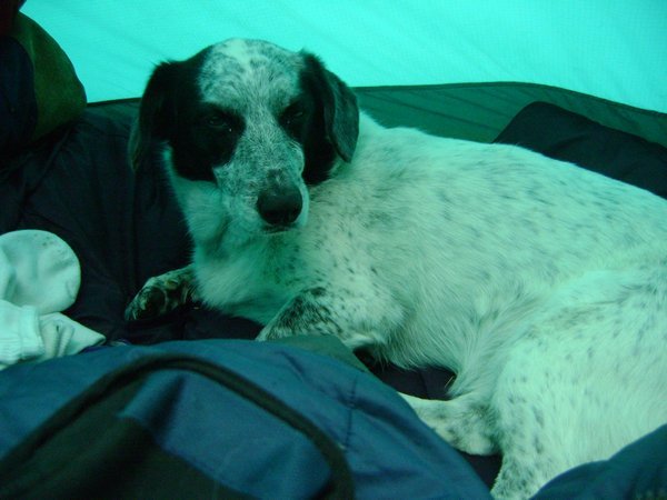 Sophie in tent