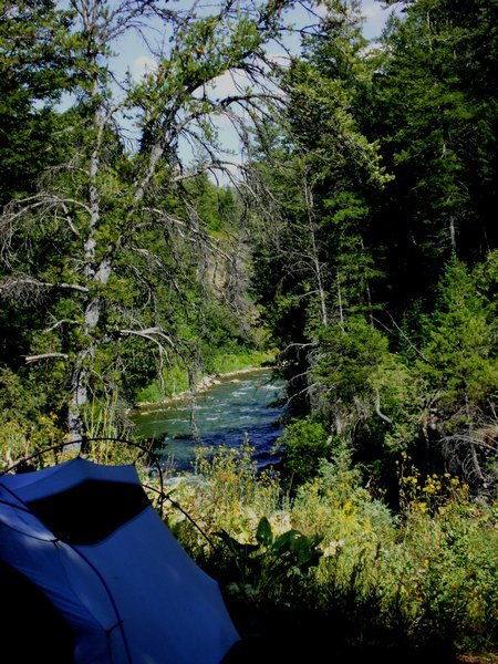 Bridger Teton National Forest campsite