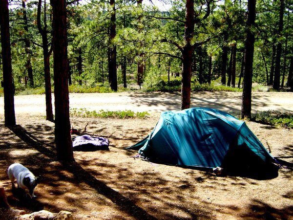Bryce Canyon campsite