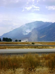 Forest Fire Utah