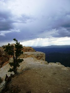 Dixie National Forest Utah