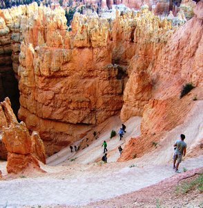 Bryce Navajo loop trail with hikers