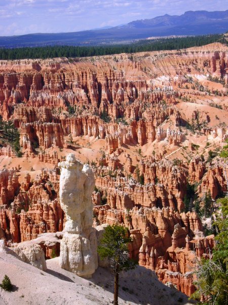 Bryce National Park