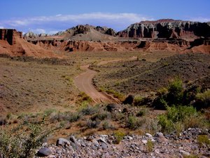 Capitol Reef Road View