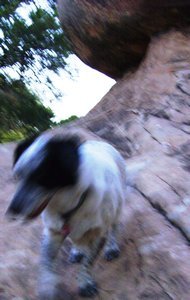 Canyonlands Sophie Climbing