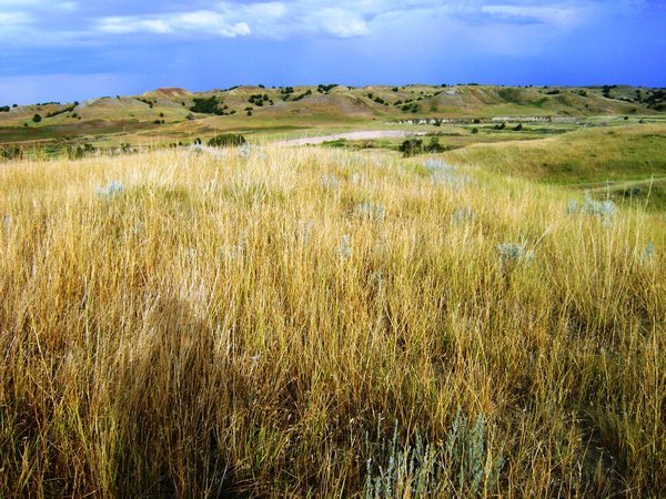 South Dakota grasslands