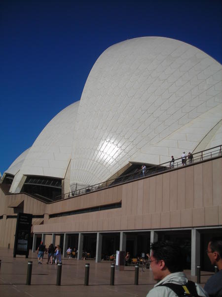 Opera House by Day