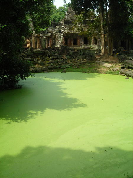 green pond and temple