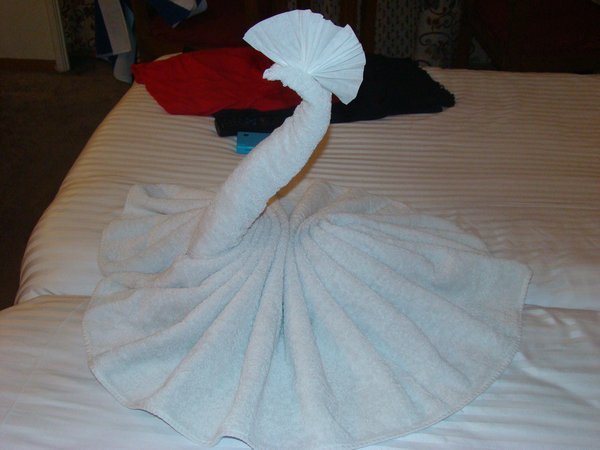 Towel Sculpture