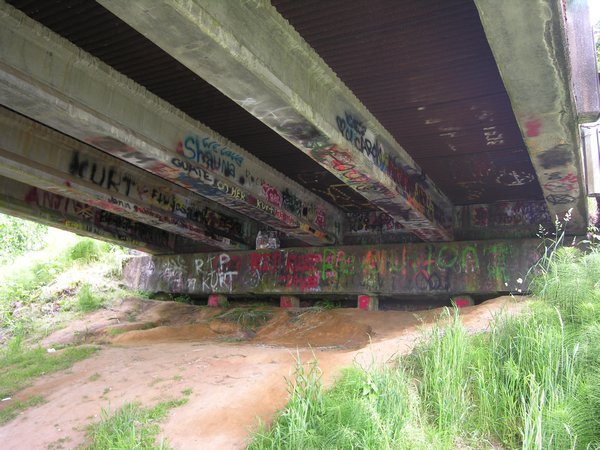 Graffiti Under the Young Street Bridge