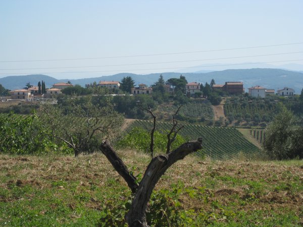 Tuscan Countryside 1