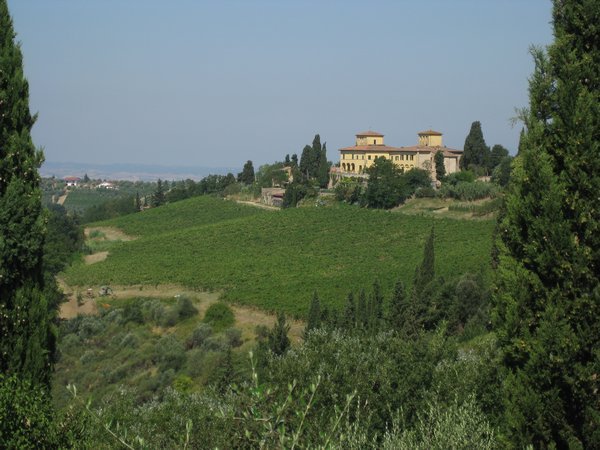 Tuscan Countryside 2