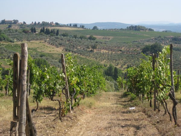 Tuscan Countryside 3