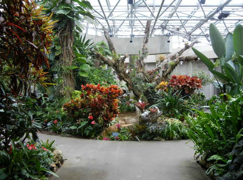 SAn Antonio Botanical Garden
