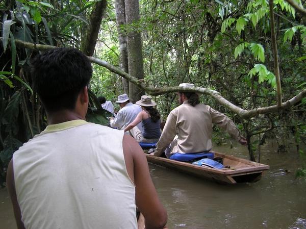 Exploring the Amazon by canoe