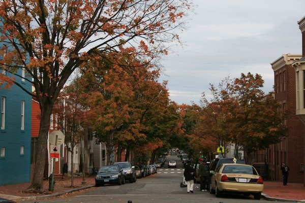 Fall in Georgetown