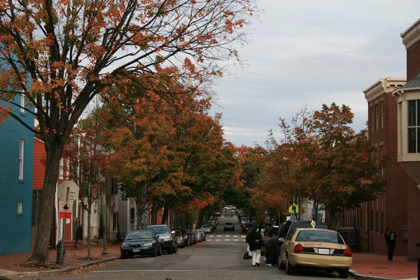 Fall in Georgetown