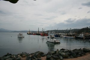 Eden fishing harbour