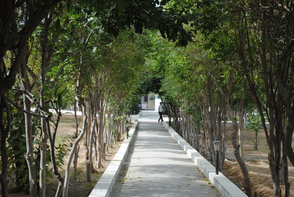 Dhamma Sota Gardens