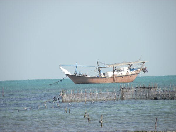 Traditional Dow fishing boat