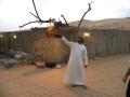 Falconry is popular in the Middle East