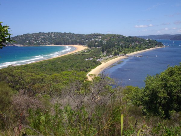 view of palm beach and pittwater