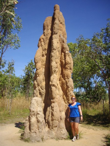 termite cathedral