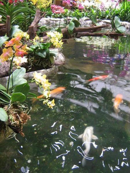 Singapore airport, yes they have fish, yes they have flowers, no they do not have bells or whistles