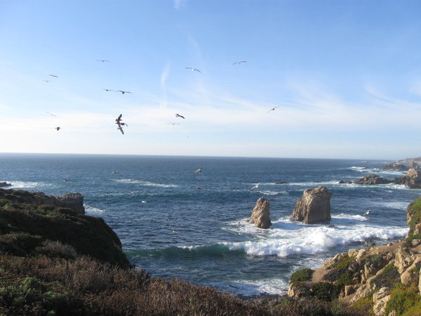 Monterey 2011
