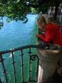 Contemplating above the Limmat