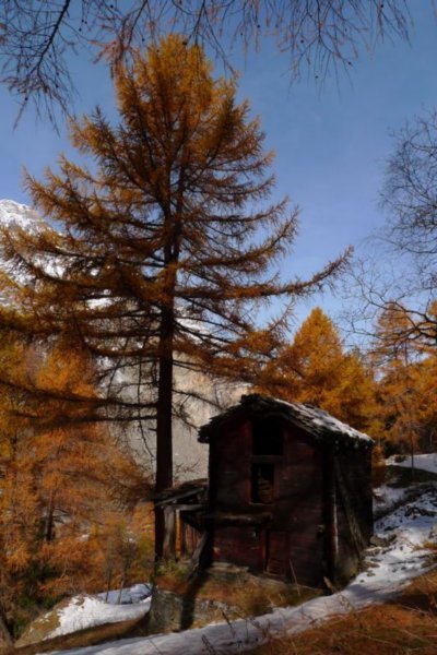 Old ay drying hut