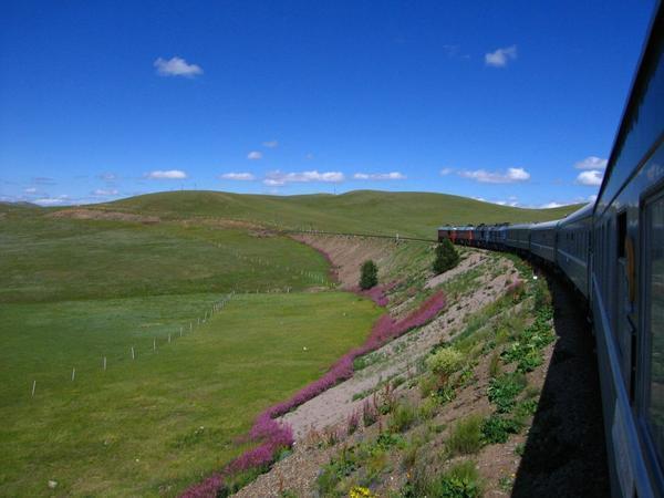 Train through Mongolia