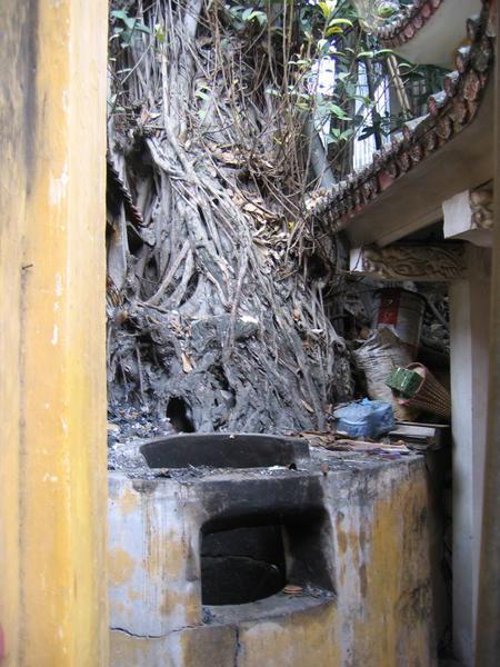 Roots-Interior