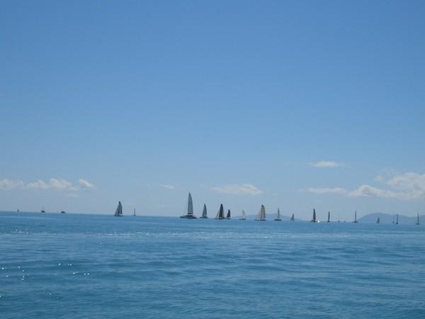 Catamaran Race