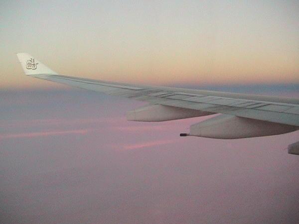 Sunset on the wing