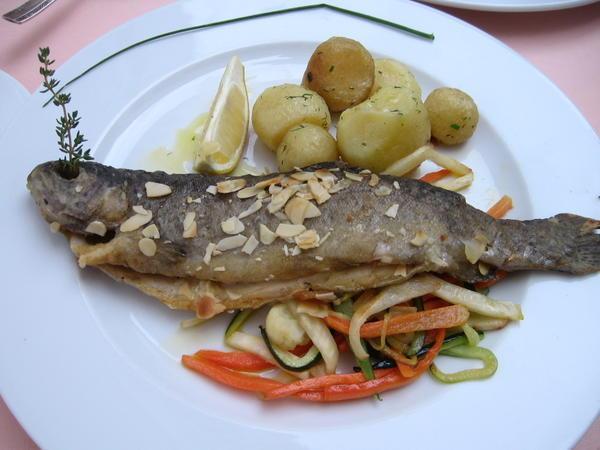 Fish plate II