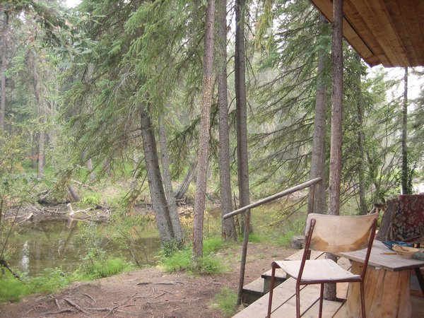 View of the creek from the cabin